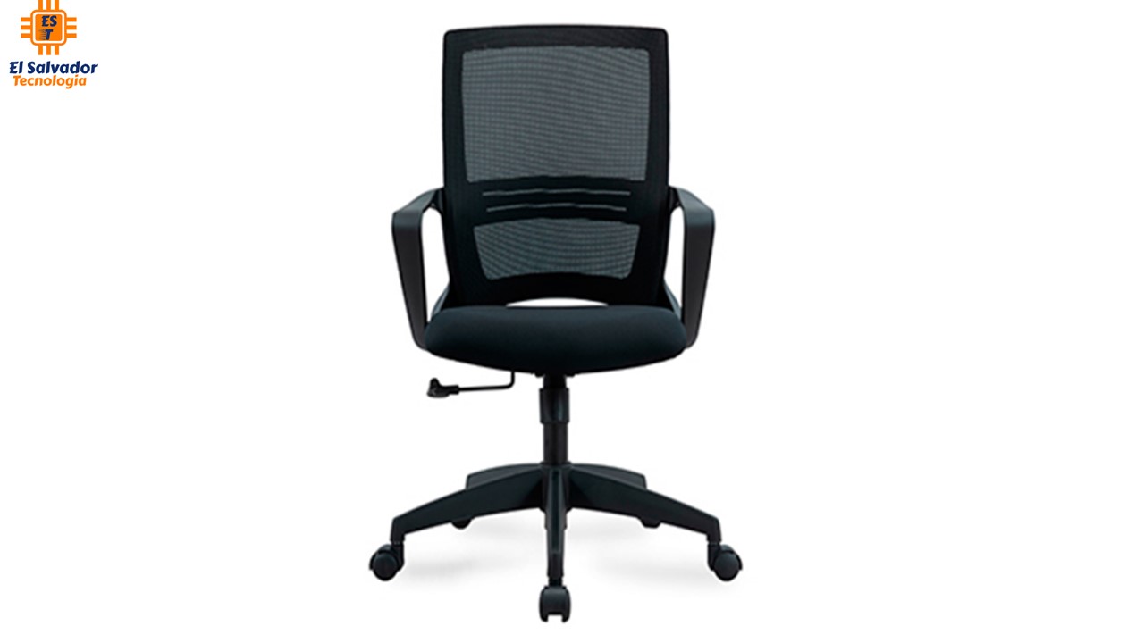 Silla Ergonomica de Respaldo de Malla Harvey