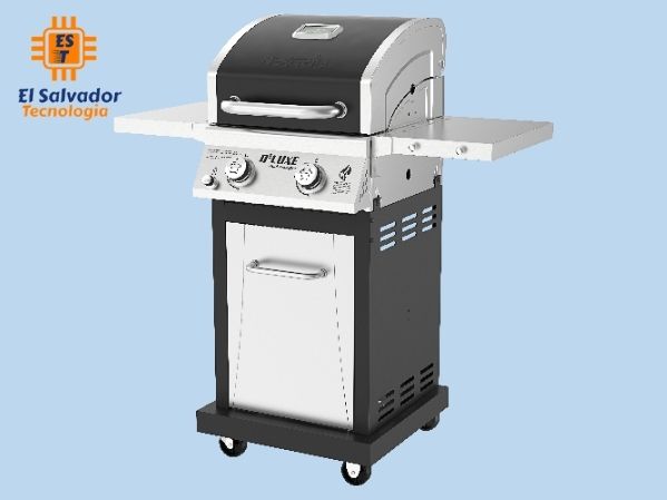 Asador de Gas y 2 Quemadores Nexgrill