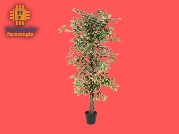 Planta artificial con maceta ficus 73 pulg