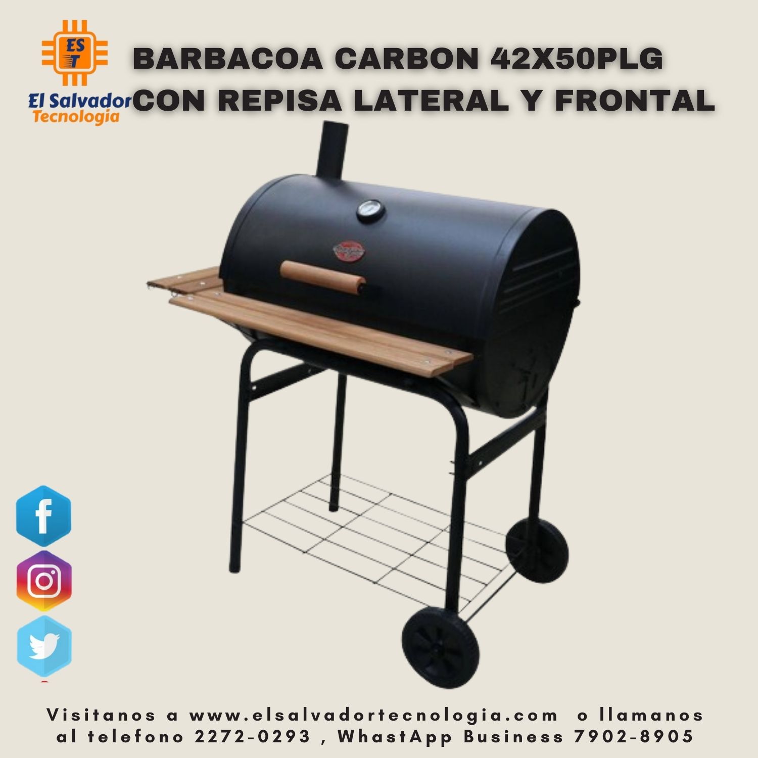 Springbok Braai - Las mejores briquetas de carbón para asar – Briquetas de  madera dura natural para ahumador, parrilla de barbacoa al aire libre, alto