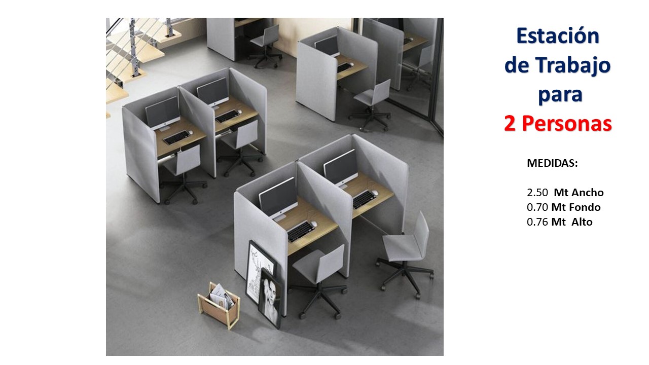 Estación de Trabajo para 2 Personas - TLS 488 - 2.50m Ancho x 0.70m Fondo x 0.76m Alto