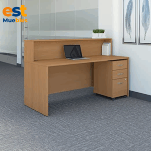 Recepcion  para area de ventas elegante–TLS–3453