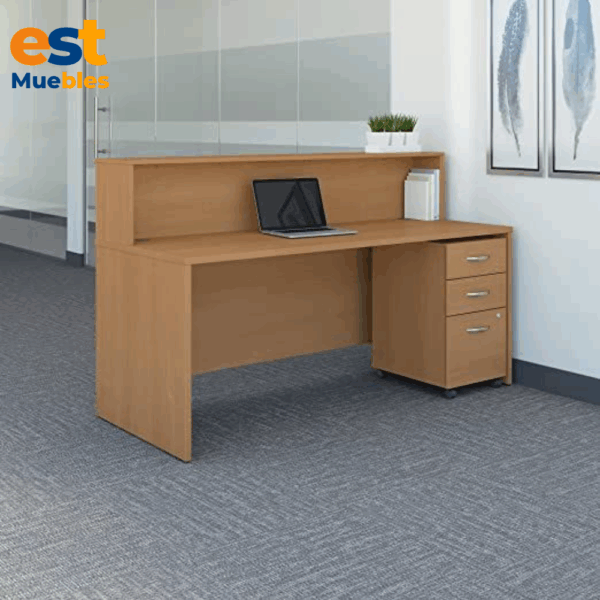 Recepcion  para area de ventas elegante–TLS–3453