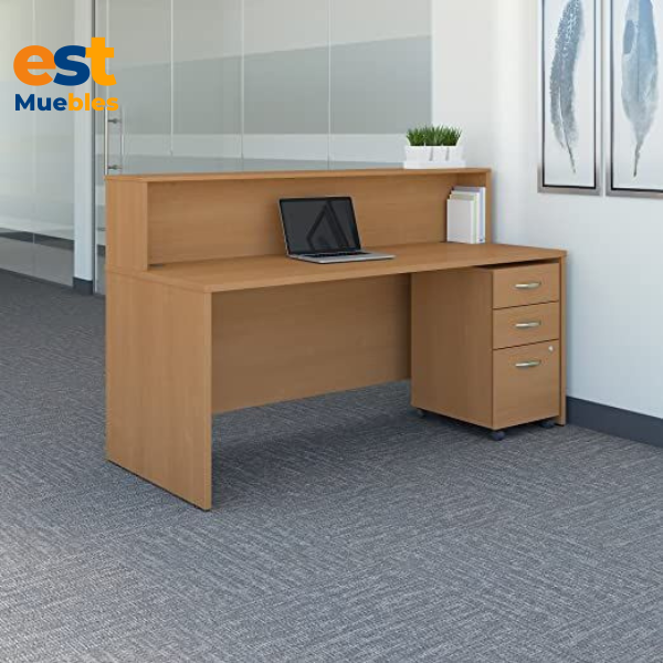 Recepción para área de ventas Elegante–TLS–3453