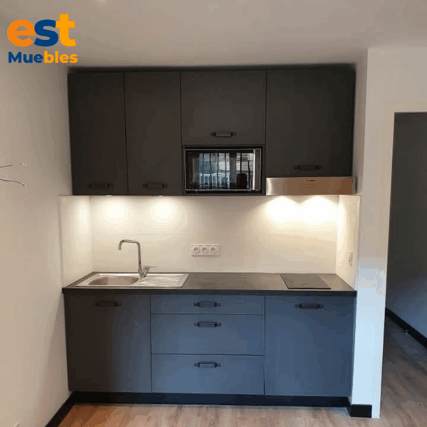 Muebles para cocina elegantes multifuncional–TLS–3205