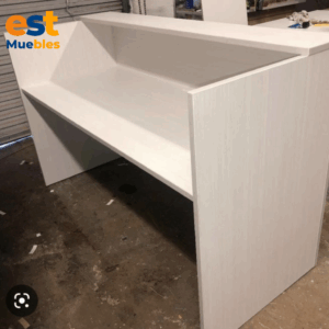 Recepcion minimalista funcional–TLS–3459