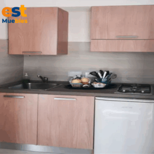 Muebles para cocina con diseño elgante–TLS–3659