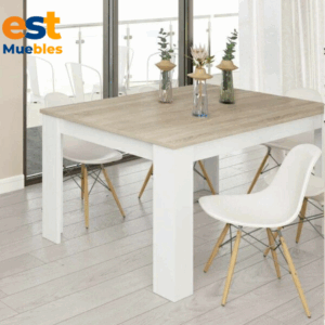 Elegante comedor para el hogar-TLS-6034