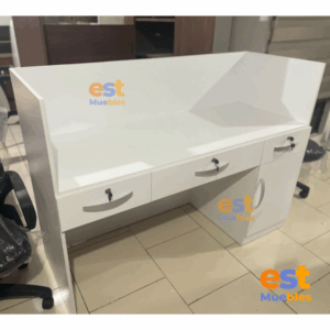 Recepción con Diseño Moderno Elegante–TLS–3485