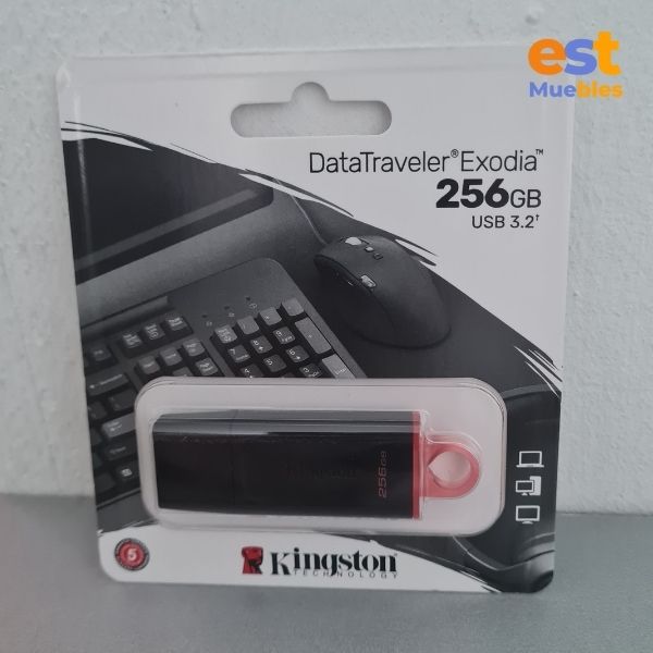 Memoria USB de 256 GB - Kingston - DataTravel Exodia - DTX/256GB