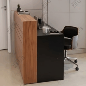 Recepción ZEUS-RCP0017