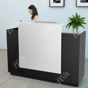 Recepción ZEUS-RCP0031