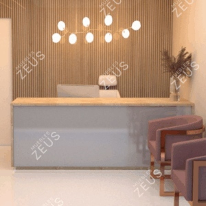 Recepción ZEUS-RCP0040