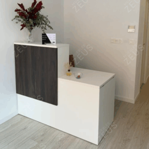 Recepción ZEUS-RCP0047