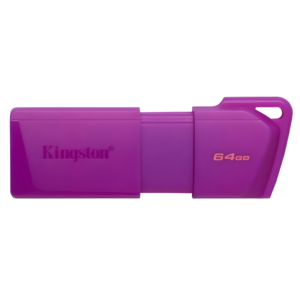 Memoria USB 64GB Rosada KC-U2L64-7LP