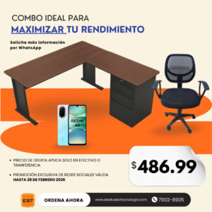 Silla + Escritorio + Telefono