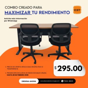 Escritorio + 2 Sillas