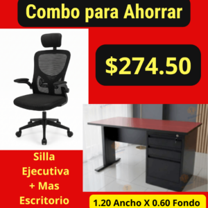 Silla Ejecutiva mas Escritorio A-10