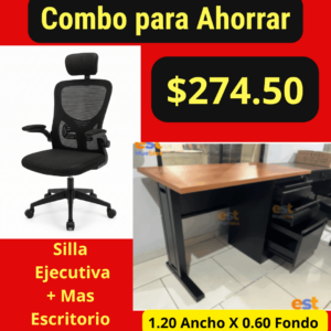 Silla Ejecutiva mas Escritorio A-11
