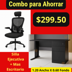 Silla Ejecutiva mas Escritorio A-12