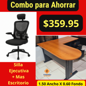 Silla Ejecutiva mas Escritorio A-13