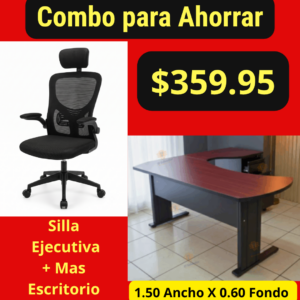 Silla Ejecutiva mas Escritorio A-17