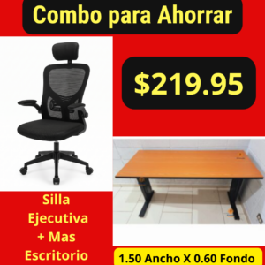 Silla Ejecutiva mas Escritorio A-3