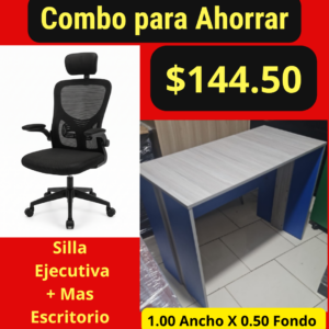 Silla Ejecutiva mas Escritorio A-4