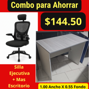 Silla Ejecutiva mas Escritorio A-5