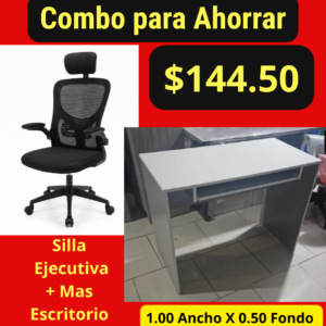 Silla Ejecutiva mas Escritorio A-6