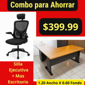 Silla Ejecutiva mas Escritorio A-7