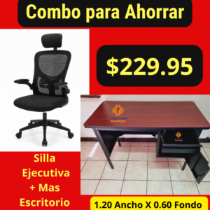 Silla Ejecutiva mas Escritorio A-8