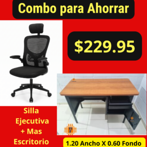 Silla Ejecutiva mas Escritorio A-9